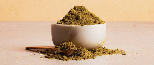 Green Tea Extract: A Potent Ingredient for Daily Performance