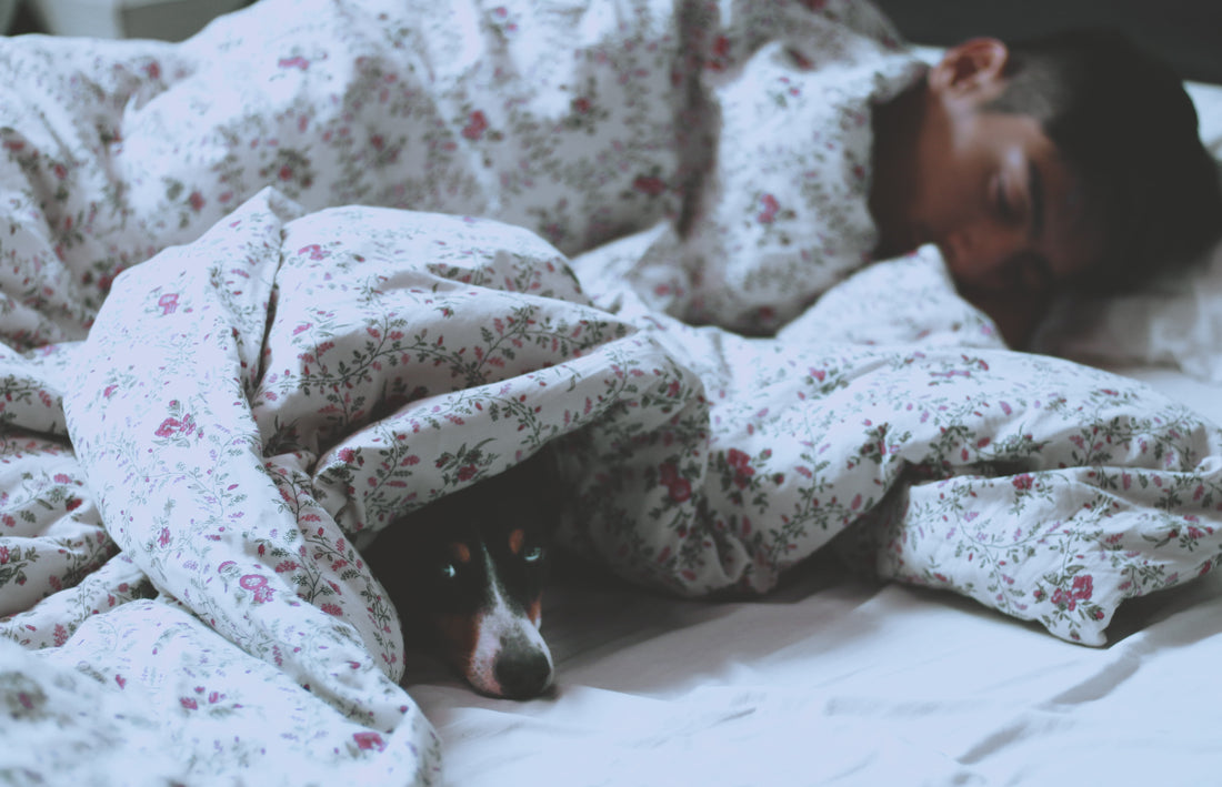 Our Top 5 Favourite Bedtime Tools