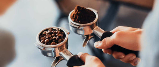 Your Go-To Guide for Choosing & Brewing Whole Coffee Beans