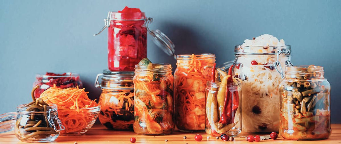 Gut Health High Performance: Eat for Better Digestion & Energy