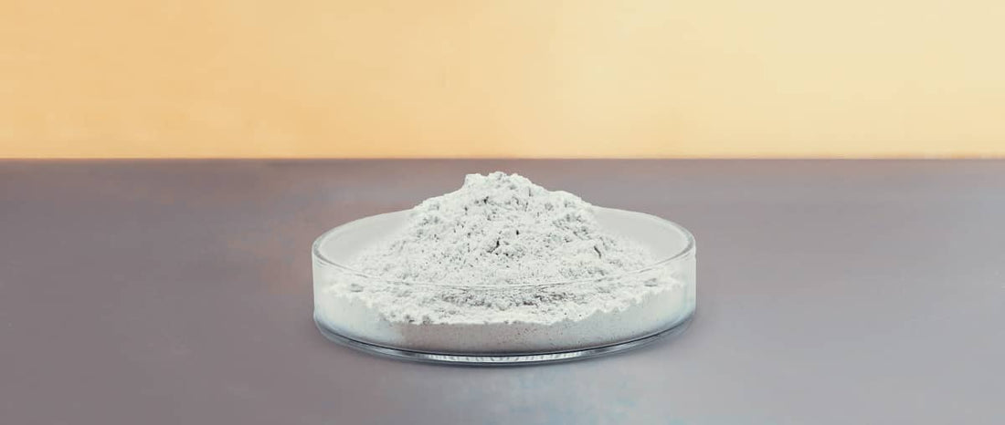 Proline: The Unsung Hero Behind Skin, Strength, and Recovery