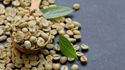 The Green Coffee Bean
